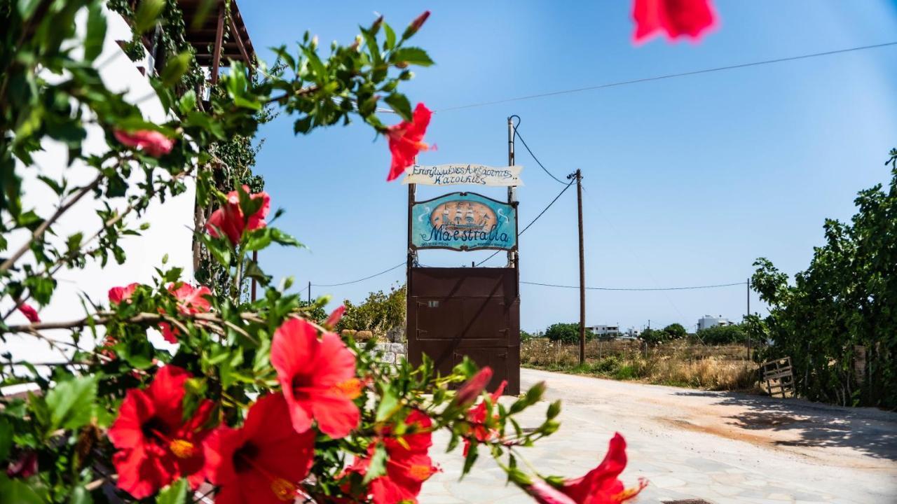 Maestralia Apartment Skyros Bagian luar foto