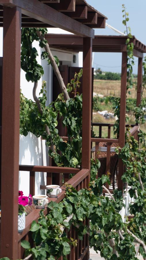 Maestralia Apartment Skyros Bagian luar foto