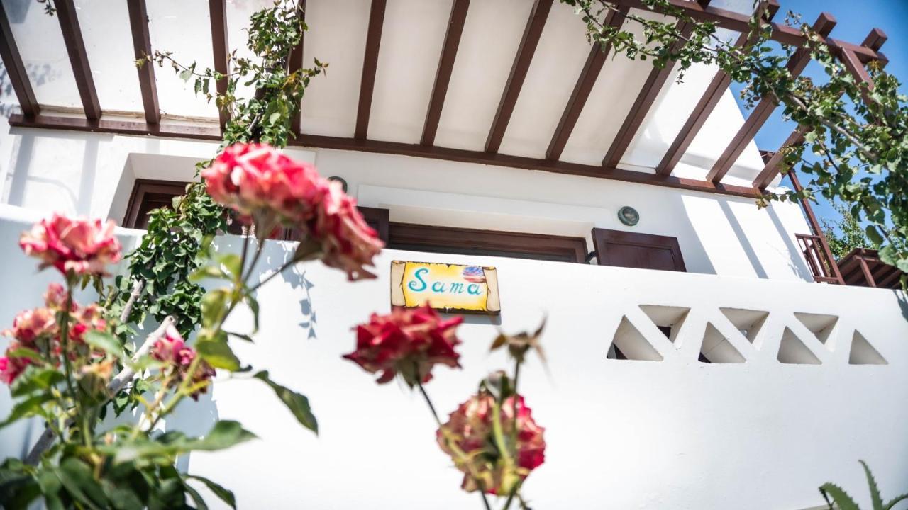 Maestralia Apartment Skyros Bagian luar foto
