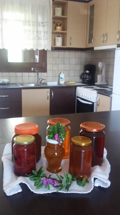 Maestralia Apartment Skyros Bagian luar foto